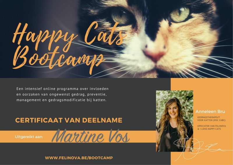 Happy Cats bootcamp certificaat Martine Vos